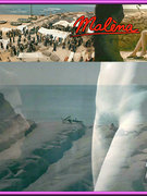 Monica Bellucci nude 105