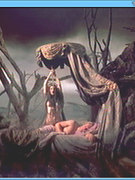 Monica Bellucci nude 70