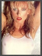 Morgan Fairchild nude 45