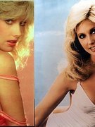 Morgan Fairchild nude 62