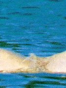 Nadja Auermann nude 19