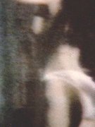 Nancy Valen nude 0