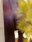 Naomi Campbell nude 181