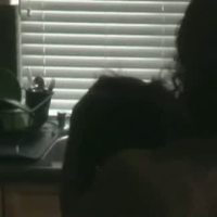 Natalie Anderson Videos