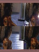 Natasha Henstridge nude 241