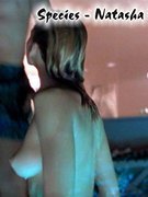 Natasha Henstridge nude 253