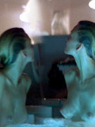 Natasha Henstridge nude 341