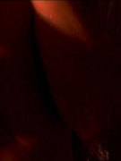 Nell Campbell nude 13