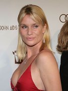 Nicolette Sheridan nude 106
