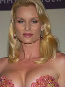 Nicolette Sheridan nude 112