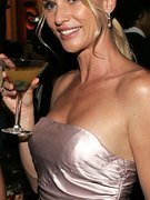 Nicolette Sheridan nude 114