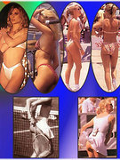 Nicolette Sheridan nude 154