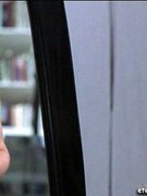 Nicolette Sheridan nude 28