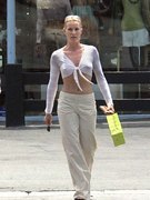 Nicolette Sheridan nude 34