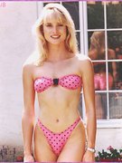 Nicolette Sheridan nude 70