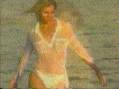 Niki Taylor Videos