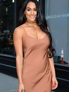 Nikki Bella nude 16