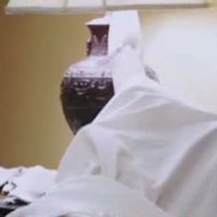 Nora Zehetner Videos