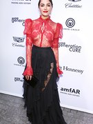 Olivia Culpo nude 12