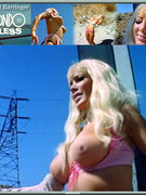 Pat Barrington nude 38