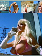 Pat Barrington nude 39