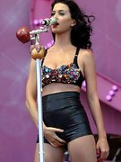 Perry Katy nude 161
