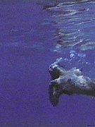 Phoebe Cates nude 73