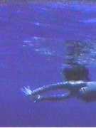 Phoebe Cates nude 75