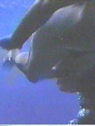 Phoebe Cates nude 76