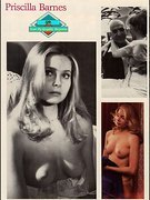 Pricilla Barnes nude 61