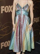 Rachel Bilson nude 36