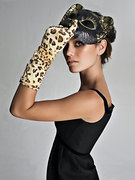 Rachel Bilson nude 92