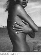 Raquel Welch nude 22