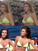 Raquel Welch nude 39