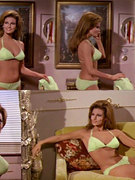 Raquel Welch nude 40