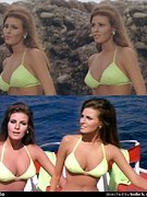 Raquel Welch nude 51