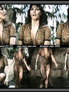 Raquel Welch nude 60