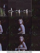 Rebecca Gibney nude 1