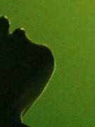 Rebecca Palmer nude 26