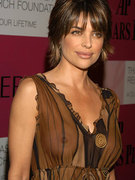 Lisa Rinna nude 40