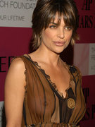 Lisa Rinna nude 41