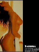 Sabrina Salerno nude 106