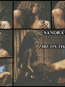 Sandra Balok nude 41
