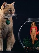 Sarah Michelle Gellar nude 276