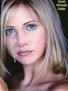 Sarah Michelle Gellar nude 406