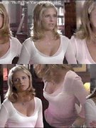 Sarah Michelle Gellar nude 196