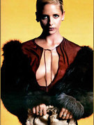 Sarah Michelle Gellar nude 204