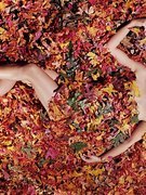 Sarah Michelle Gellar nude 249