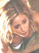 Sarah Michelle Gellar nude 3