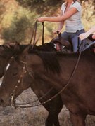 Sarah Michelle Gellar nude 73